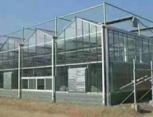 玻璃溫室大棚建設需要考慮天氣因素么
