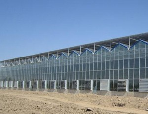 玻璃溫室大棚中的注意事項