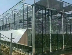 智能溫室大棚的發展趨勢