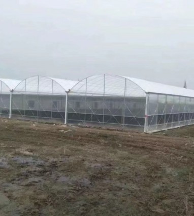 玻璃溫室的優點有哪些？