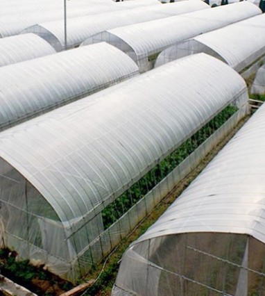 連棟溫室大棚如何去濕？