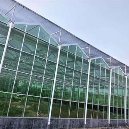 玻璃大棚